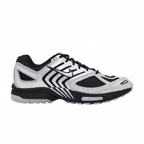 Nike Air Pegasus 2K5 'Metallic Silver Black'