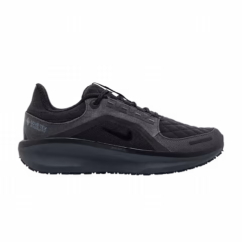 Nike Air Winflo 11 GORE-TEX 'Black Anthracite'