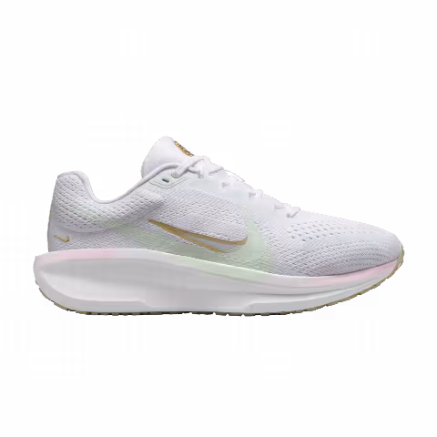 Nike Wmns Air Winflo 11 'Be The One'