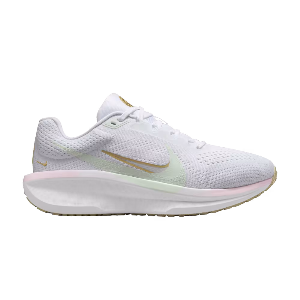 Nike Women's Air Winflo 11 Be The One