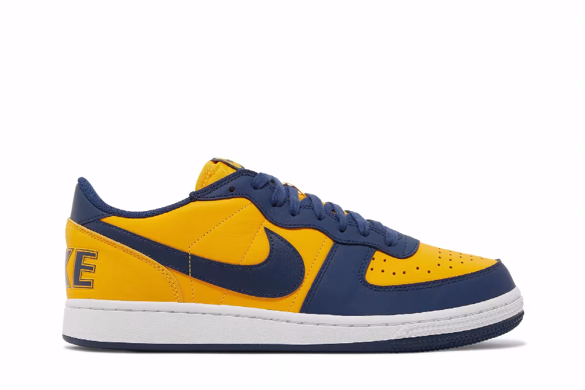 Nike Terminator Low Michigan, view 2