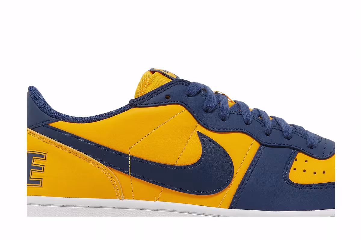 Nike Terminator Low Michigan, view 3