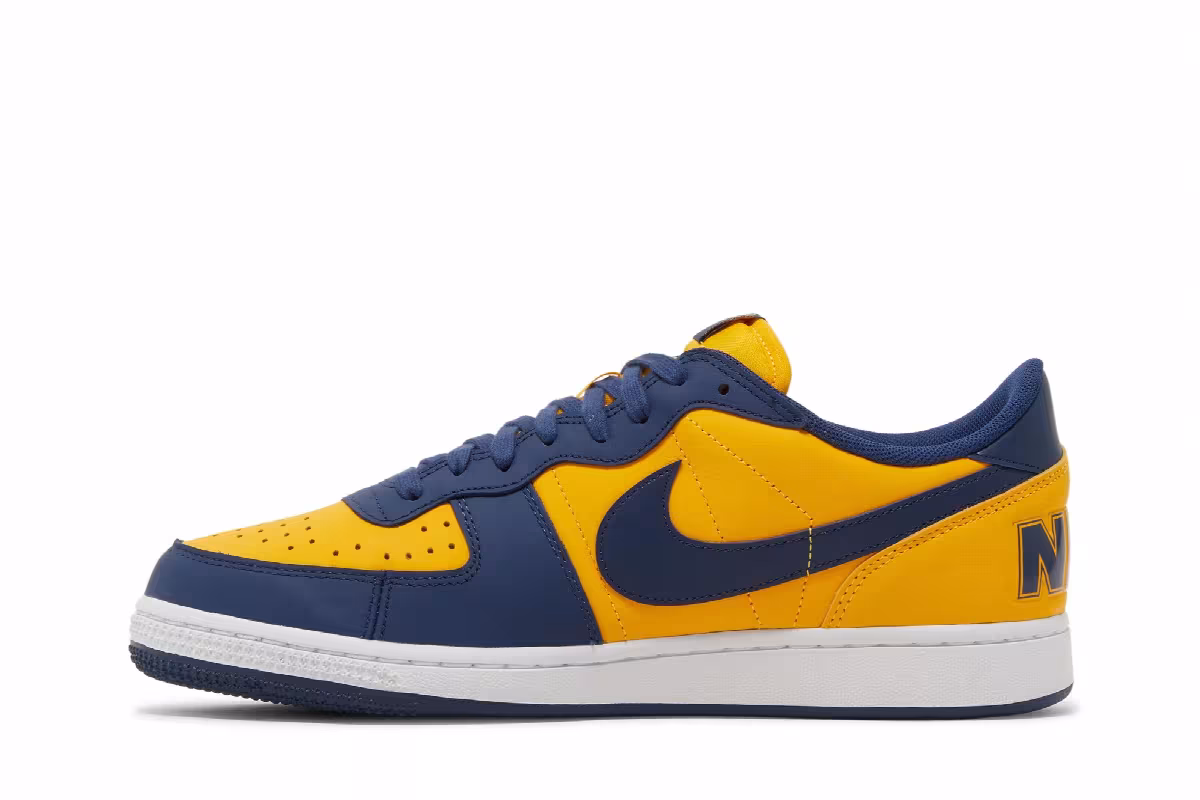Nike Terminator Low Michigan, view 4