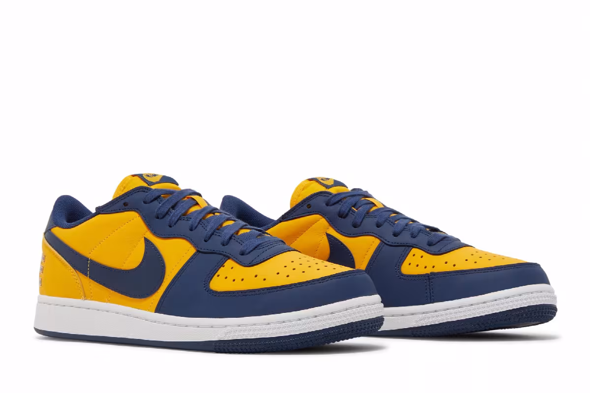 Nike Terminator Low Michigan, view 9