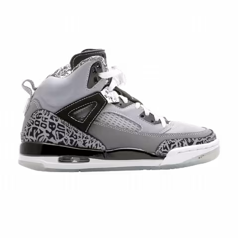 Air Jordan Spiz'Ike Gs