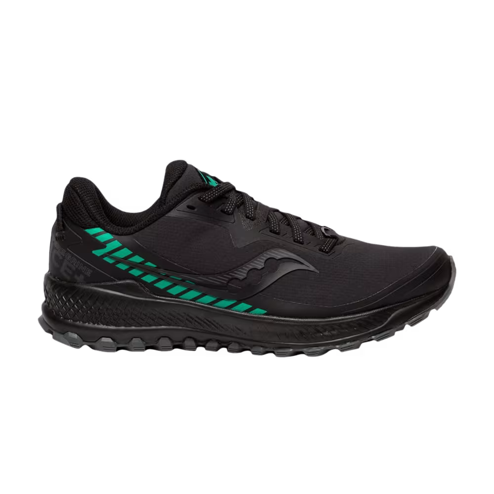 Saucony Women's Peregrine ICE+ Black Jade