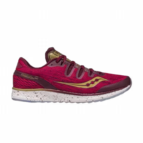 Saucony Wmns Freedom ISO