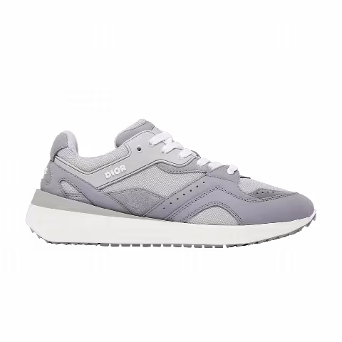 Dior B29 'Grey'