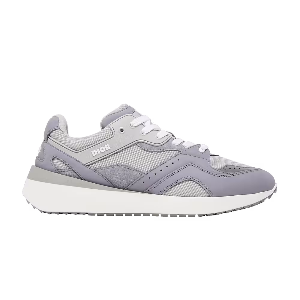 Dior B29 Grey