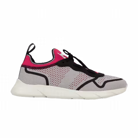Dior B21 Neo Technical Knit 'Grey Pink'