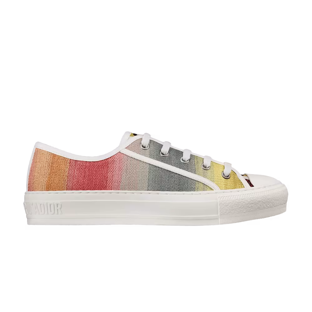 Dior Women's Walk'N'Dior Embroidered Low Multi-Color