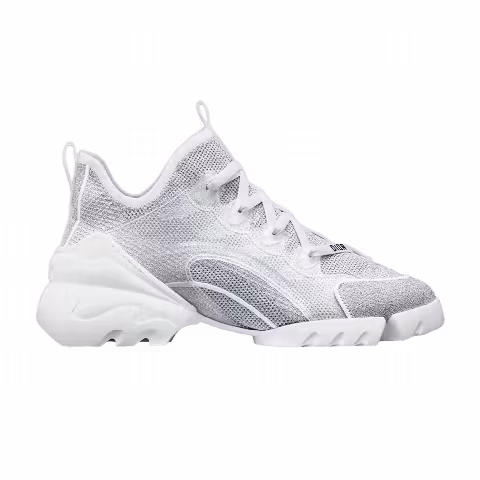 Dior D-Connect 'Silver'