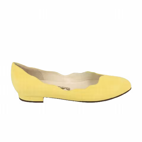 Ferragamo Wmns Turchina 1960 Ballet Flat 'Multi-Color'