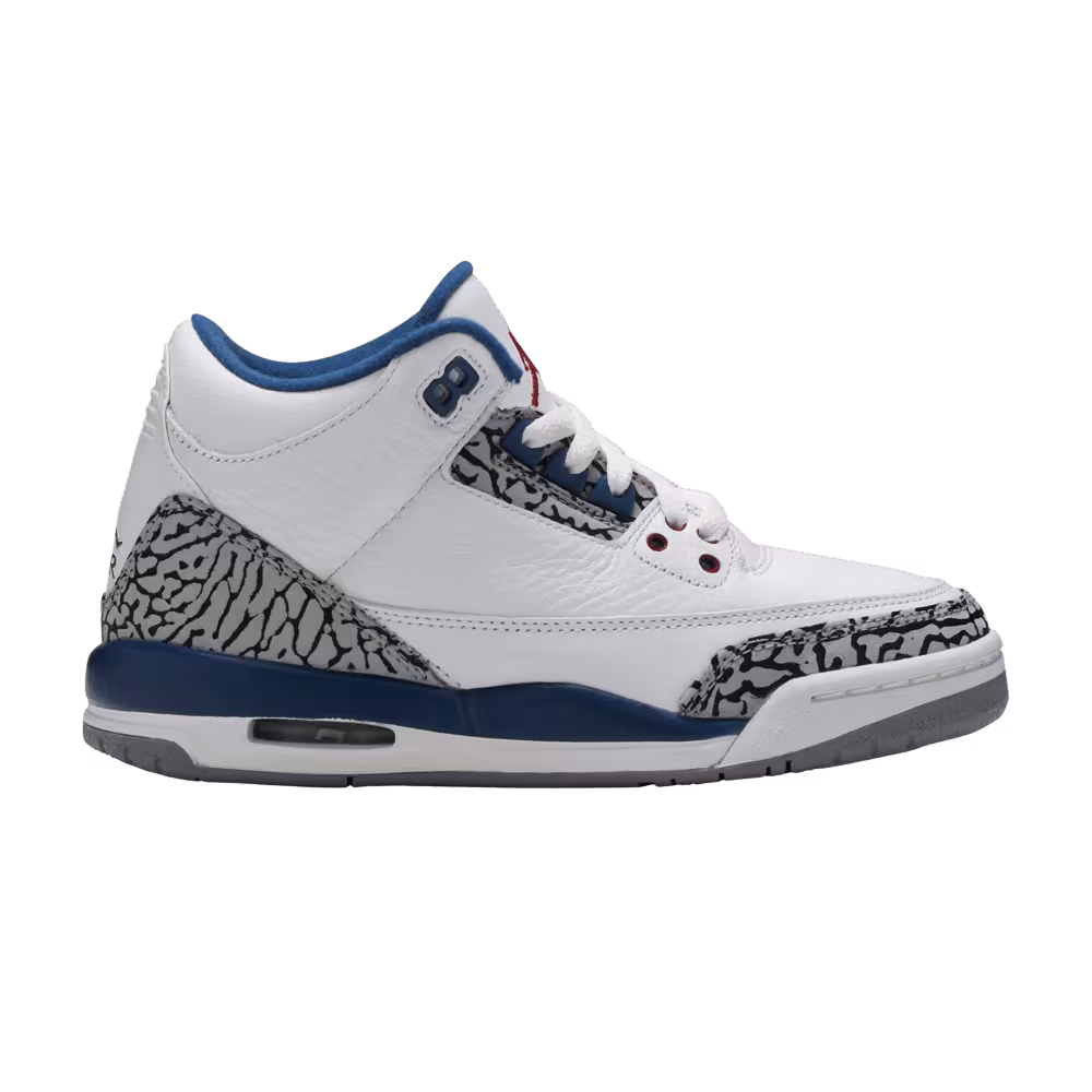 Air Jordan 3 GS True Blue 2011