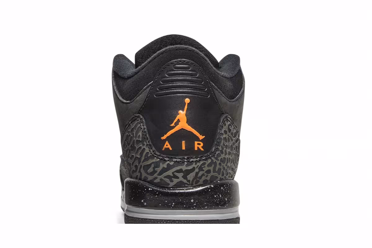 Air Jordan 3 GS Fear, view 8