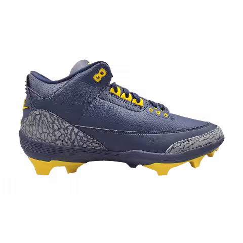 Air Jordan 3 Force Savage 'Michigan' PE