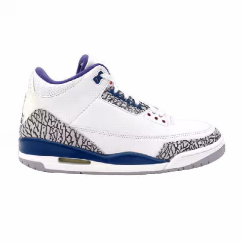 Air Jordan 3 Retro 'True Blue' 2009 Sample