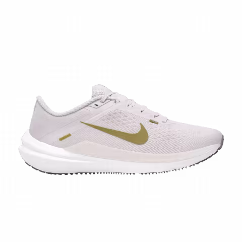Nike Wmns Air Winflo 10 'Platinum Violet Pacific Moss'