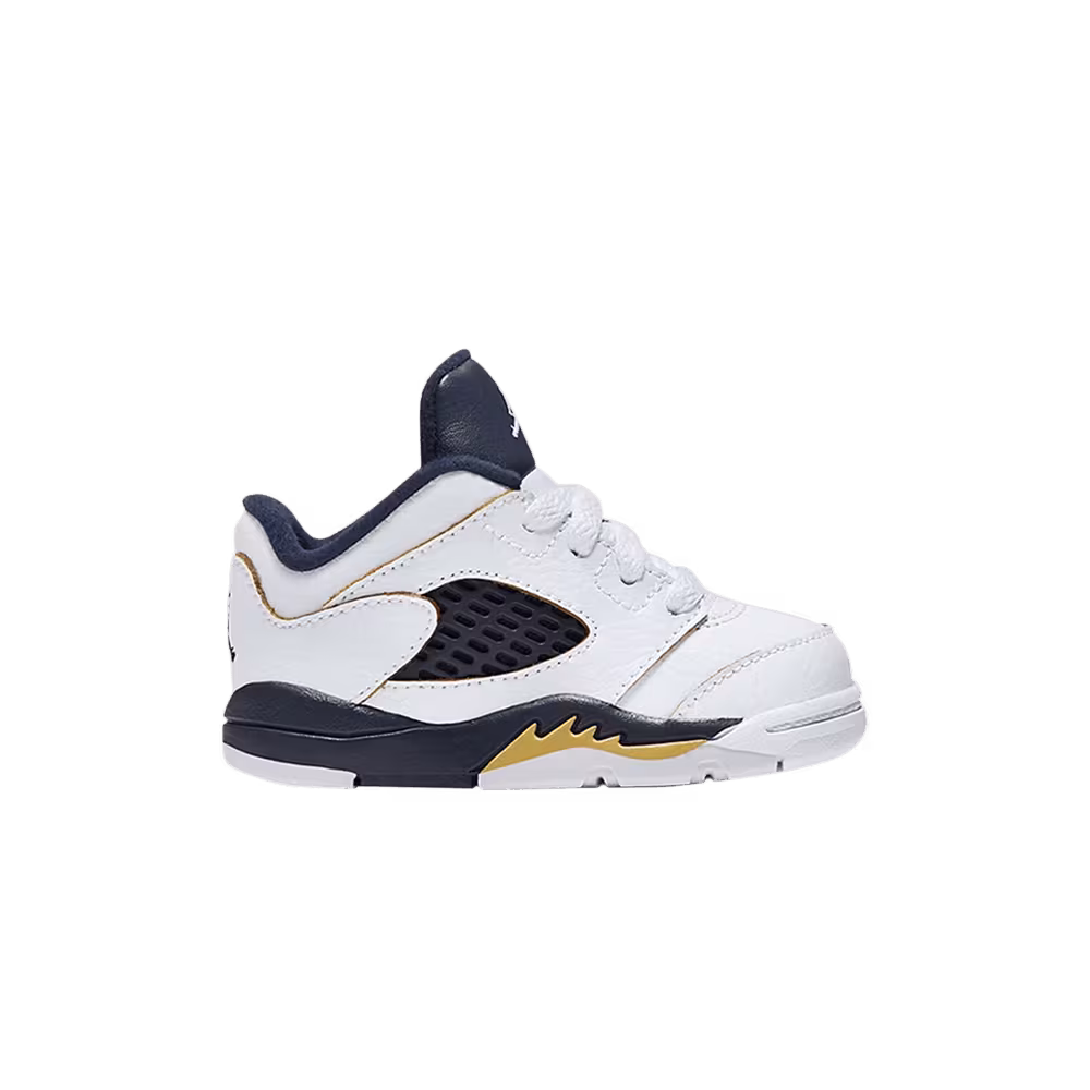Air Jordan 5 Low TD Dunk From Above