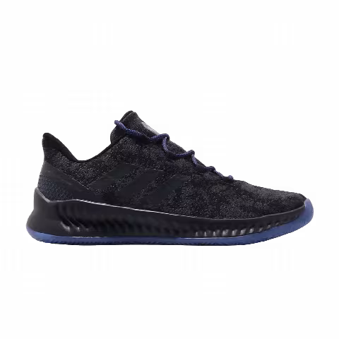 Adidas Harden B/E X 'Black Blue Metallic'