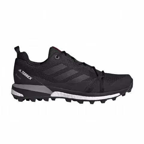 Adidas Wmns Terrex Skychaser LT GTX 'Carbon'
