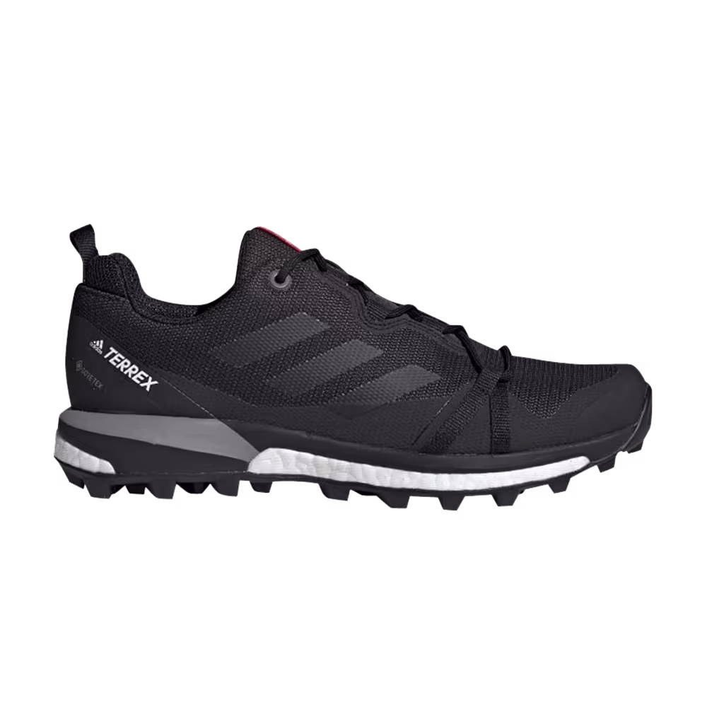 Adidas Women's Terrex Skychaser LT GTX Carbon