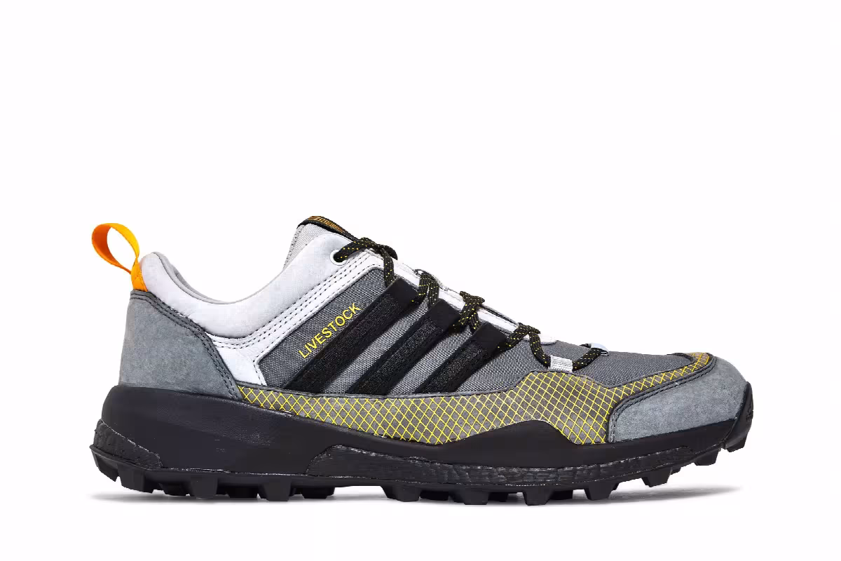 Livestock x adidas Terrex Skychaser Stone, view 2