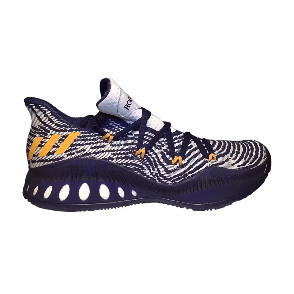 Adidas Crazy Explosive Low Primeknit Dragan Bender Home