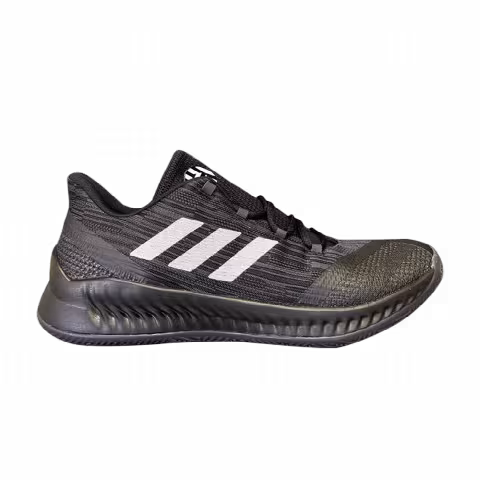 Adidas Harden B/E 2 Team 'Core Black'
