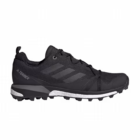 Adidas Terrex Skychaser LT GTX 'Carbon'