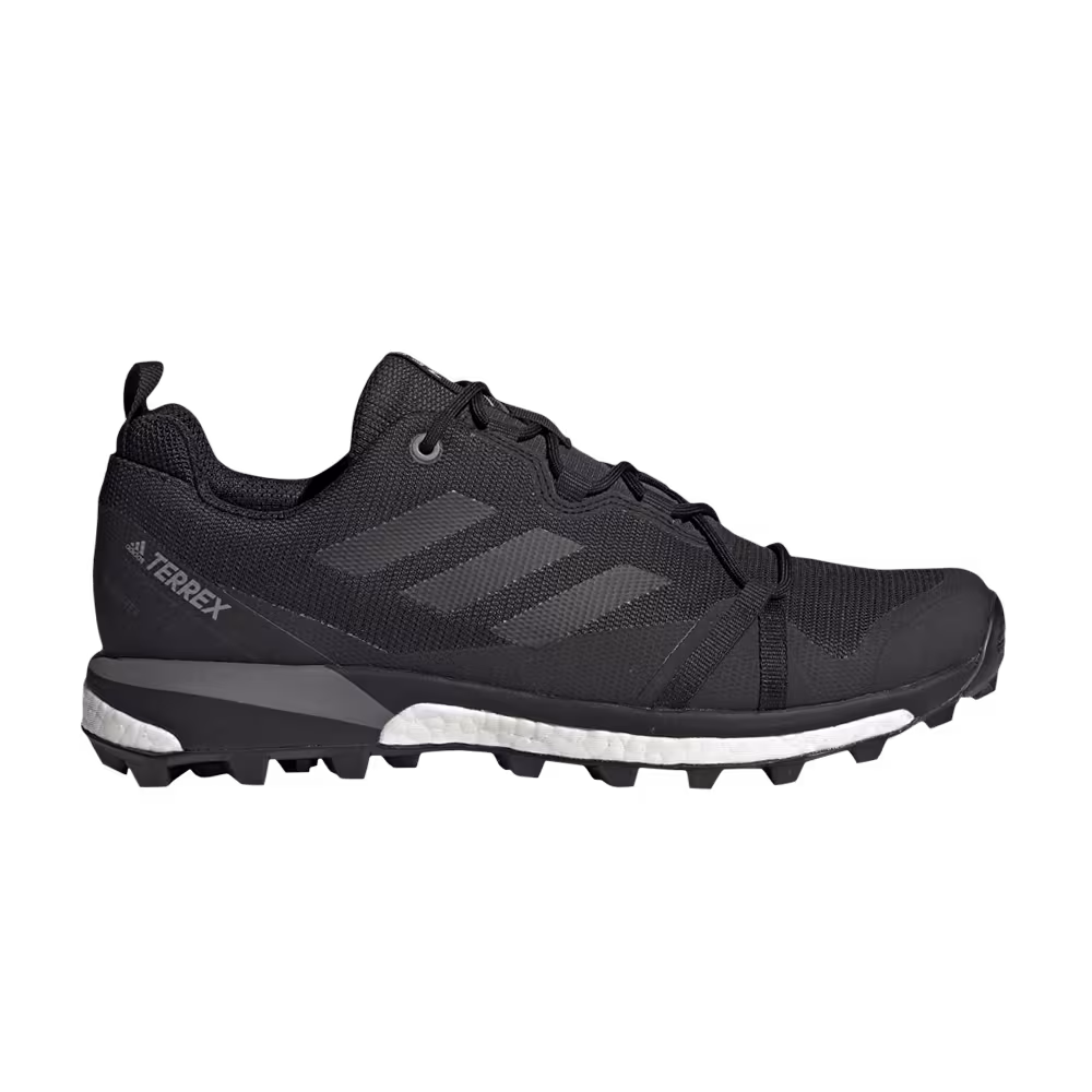 Adidas Terrex Skychaser LT GTX Carbon
