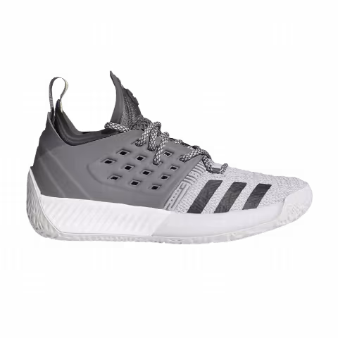 Adidas Harden Vol. 2 J 'Trace Grey Metallic'