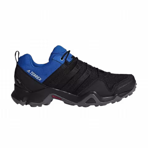 Adidas Terrex AX2R GTX 'Black Blue Beauty'