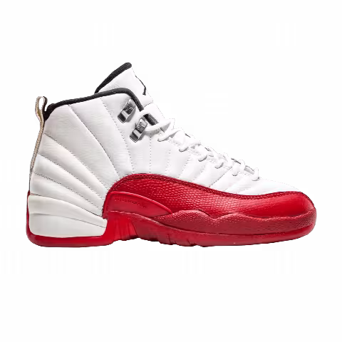 Air Jordan 12 Gs