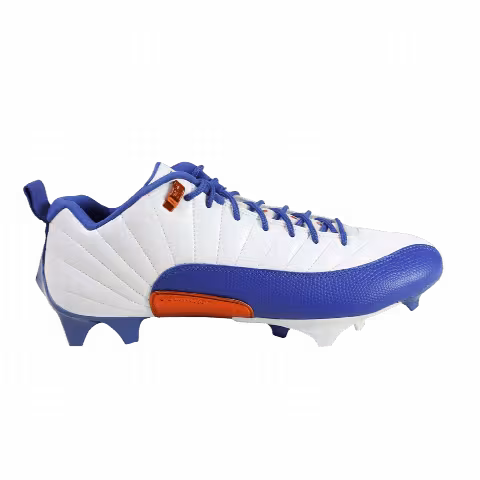 Air Jordan 12 Vapor Edge Low 'Florida Gators' PE