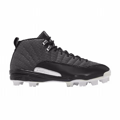 Air Jordan 12 Retro MCS