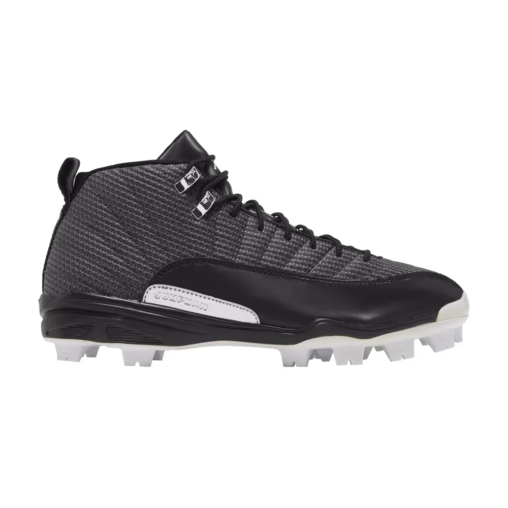 Air Jordan 12 MCS