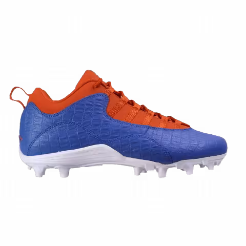 Air Jordan 10 Alpha Low 'Florida Gators' PE