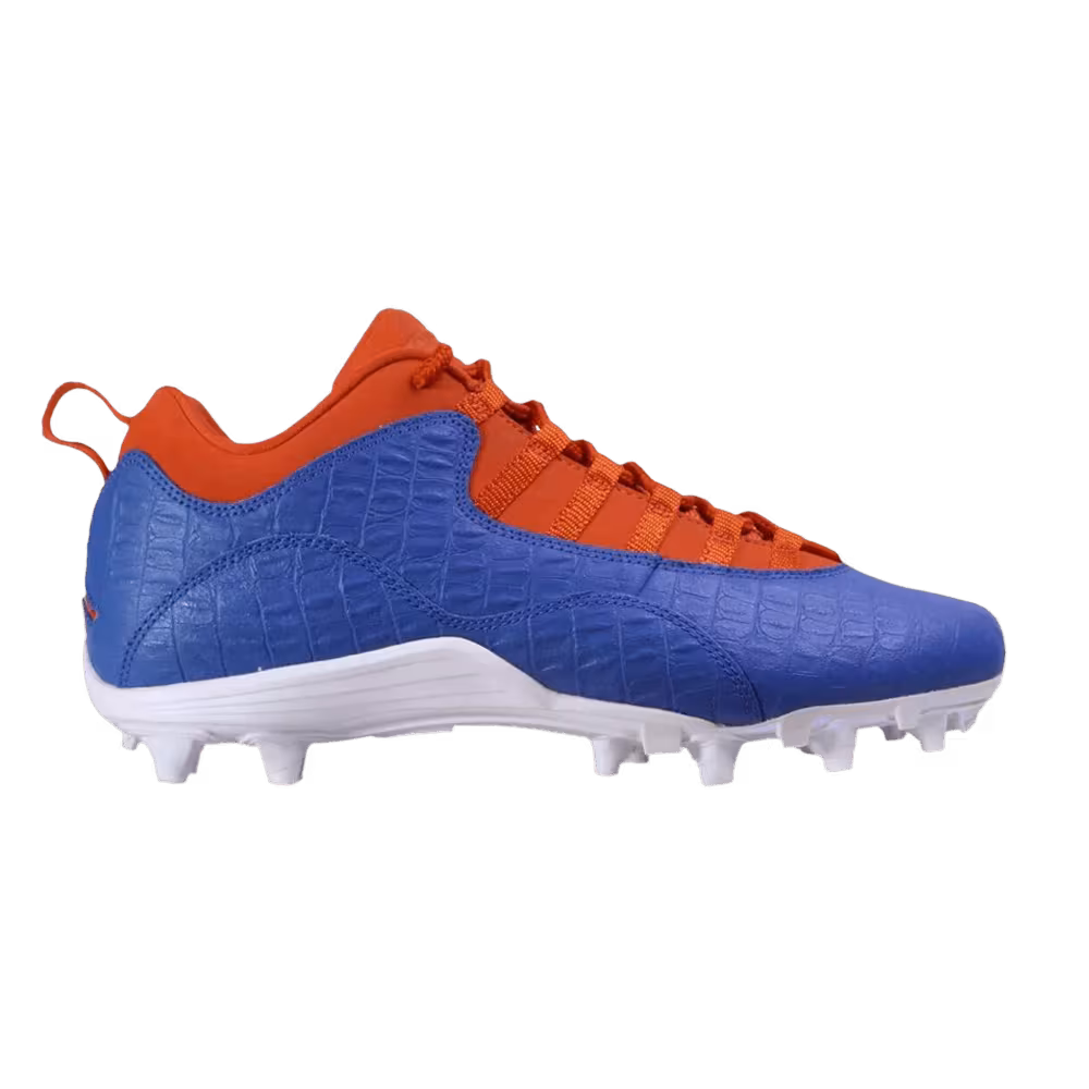 Air Jordan 10 Alpha Low Florida Gators