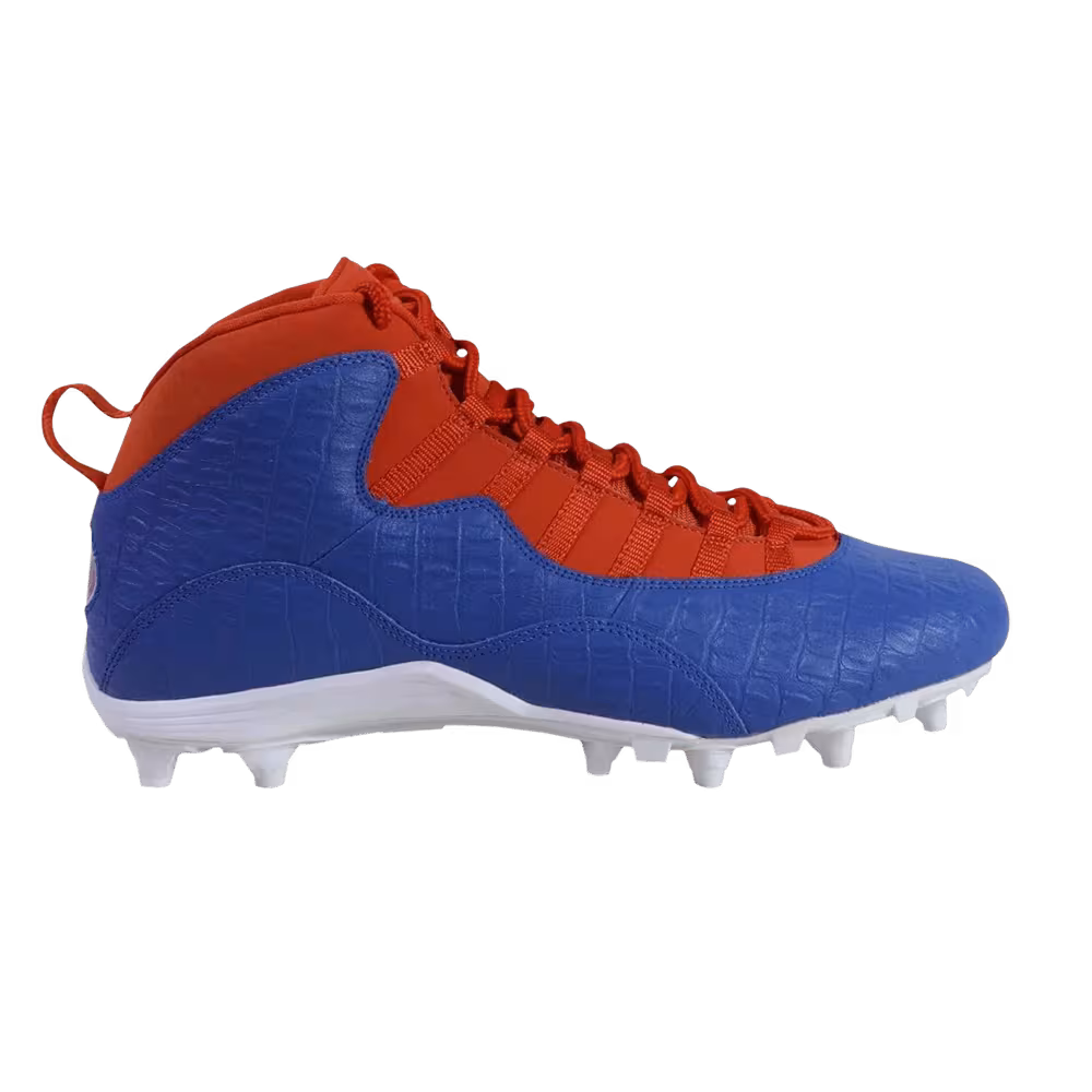 Air Jordan 10 Alpha Florida Gators