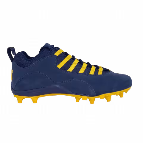 Air Jordan 10 Alpha Low 'Michigan Wolverines' PE