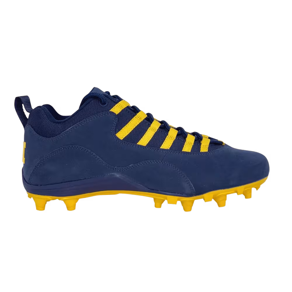 Air Jordan 10 Alpha Low Michigan Wolverines