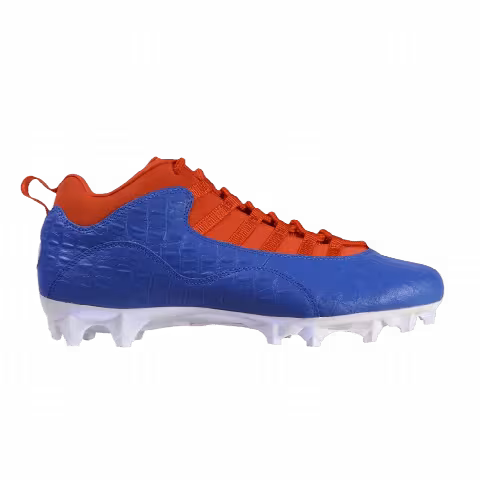 Air Jordan 10 Vapor Carbon Low 'Florida Gators' PE