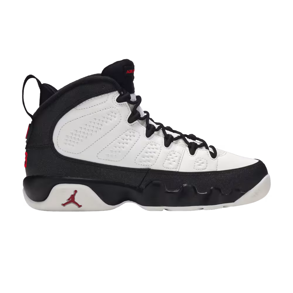 Air Jordan 9 GS Space Jam 2010