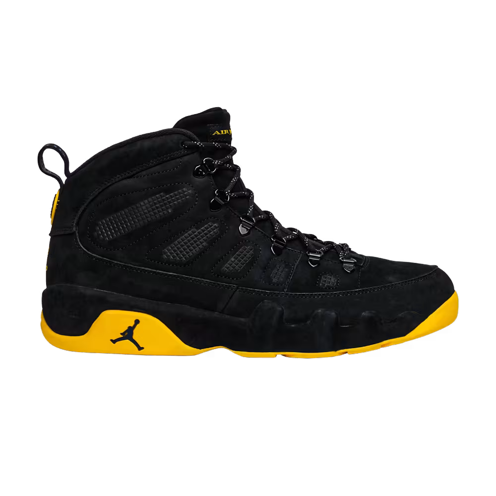 Air Jordan 9 NRG Michigan Wolverines