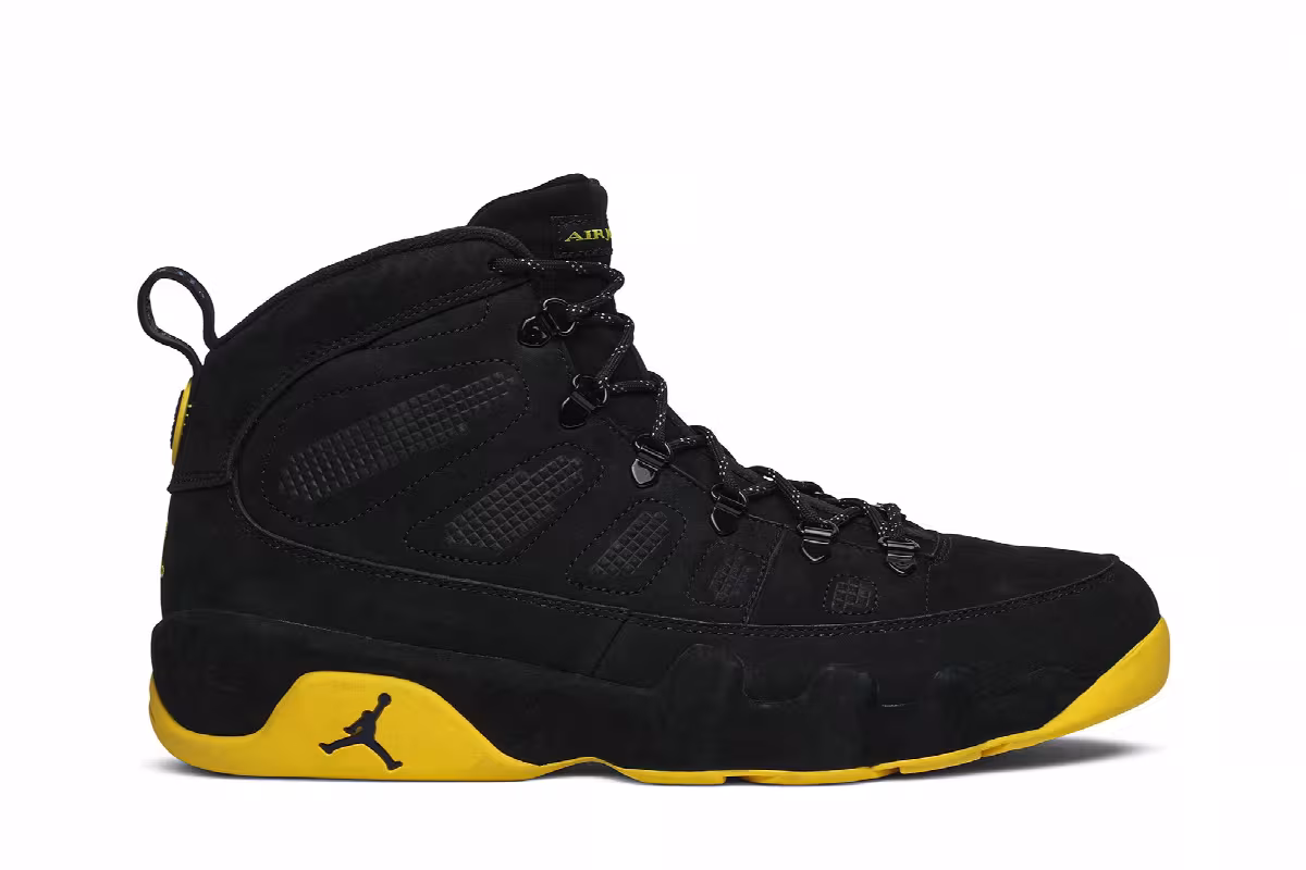 Air Jordan 9 NRG Michigan Wolverines, view 2