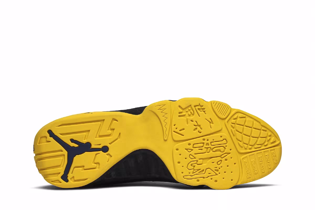Air Jordan 9 NRG Michigan Wolverines, view 5