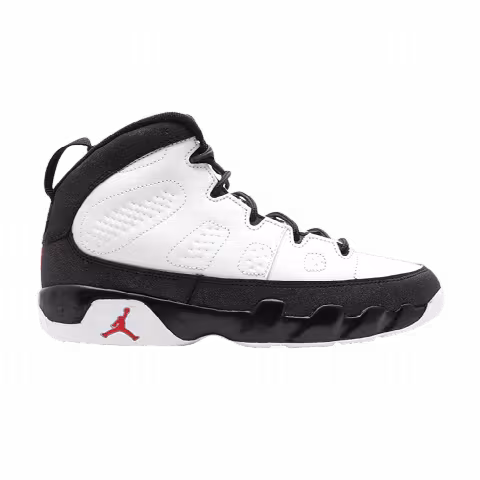 Air Jordan 9 Retro PS 2010