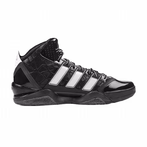 Adidas AdiPower Howard 2 'Black White'