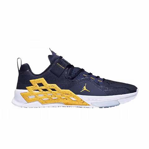 Air Jordan Alpha 360 TR 'Michigan'